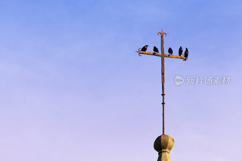 铸铁十字架上的椋鸟。San Martiño de Mondoñedo罗马风格的教堂，卢戈省，加利西亚，西班牙。